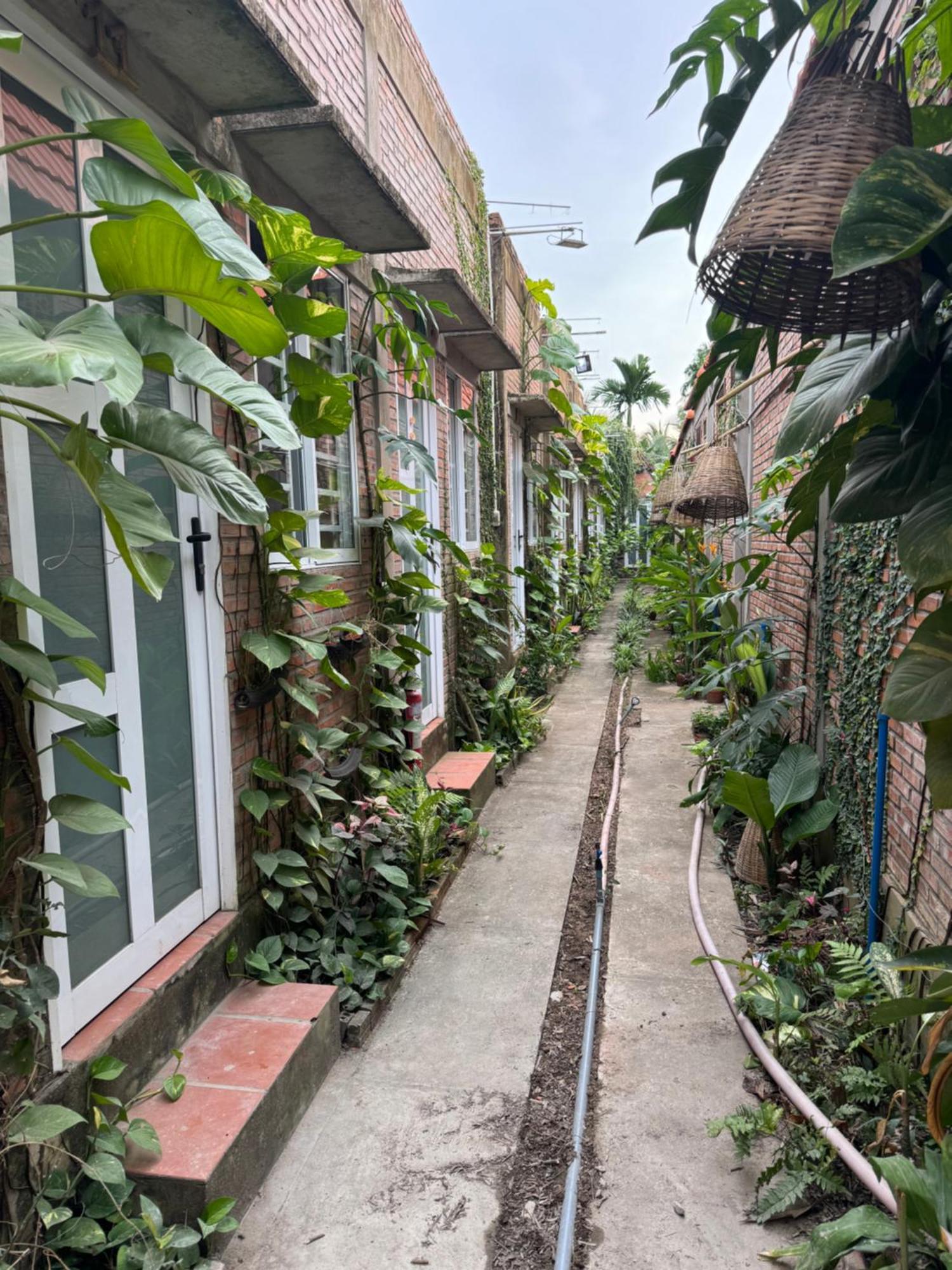 Bau Bi Mini Farmstay Mekong - Tien Giang Mỹ Tho Exterior foto
